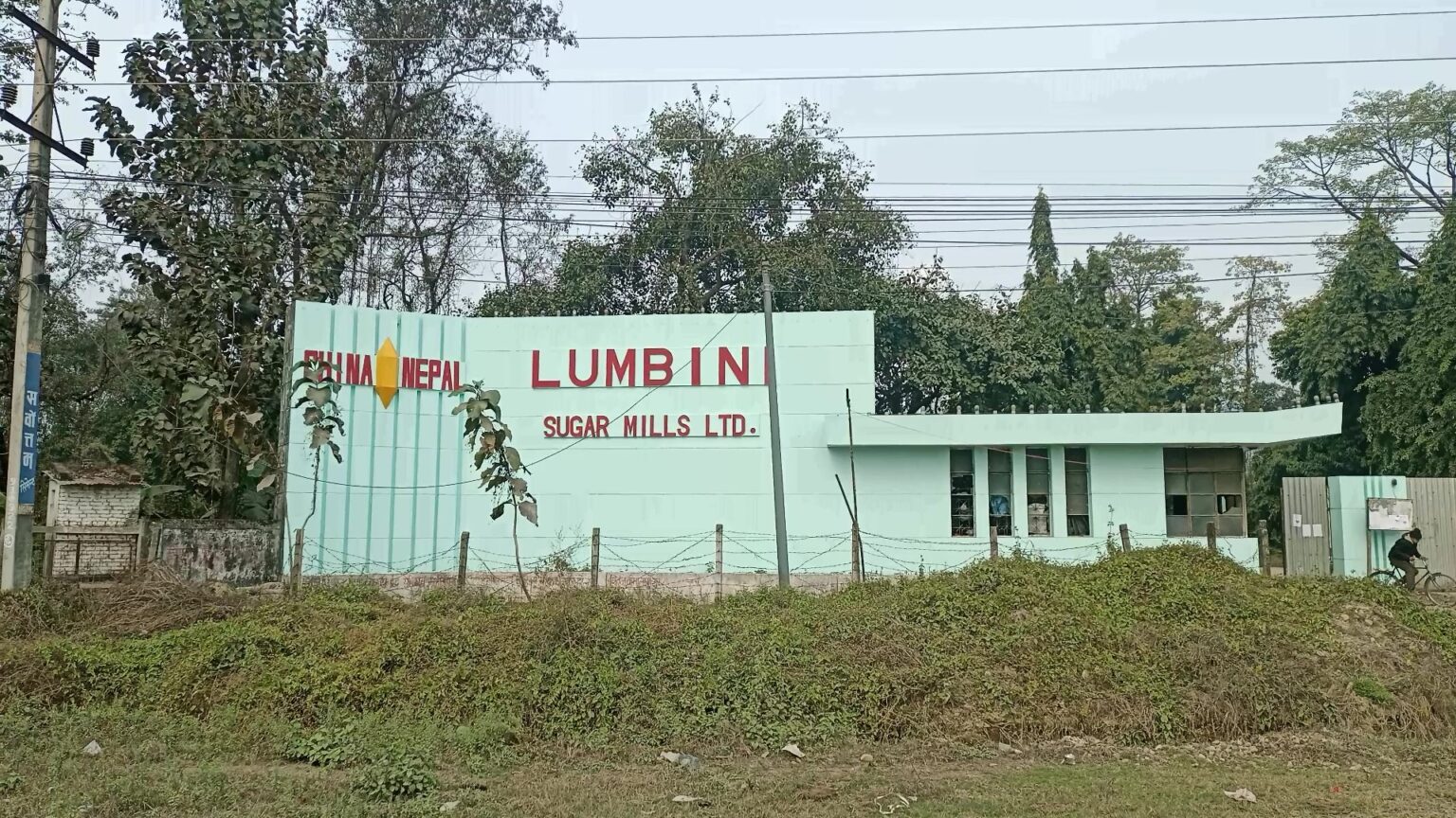 IMG